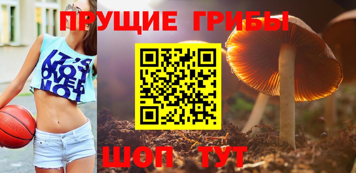 Саяногорск  Псилоцибиновые грибы MAGIC MUSHROOMS  Вход с VPN 