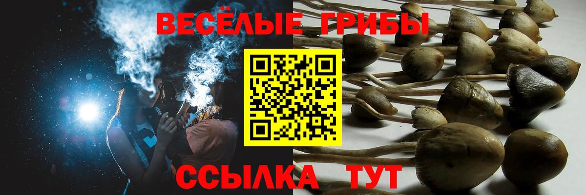 Галлюциногенные грибы ЛСД Саяногорск